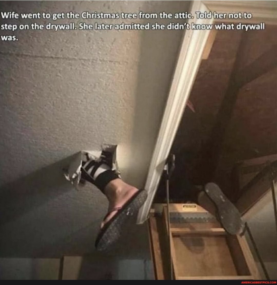 went to get the Christmes from the step on the dapwall, She letaradimined didn' witat drywall
Wife was.