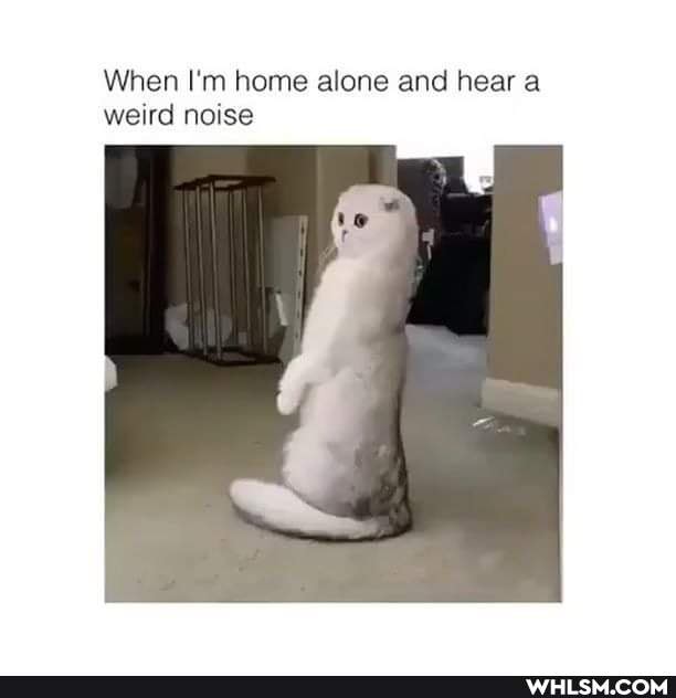 Weird Noise. .. When i heard a Noise.