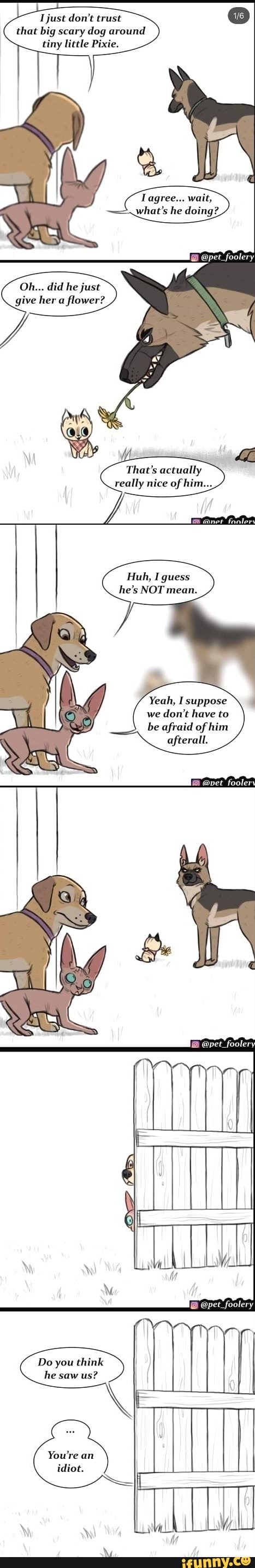 I just don't trust
that big scary dog around
tiny little Pixie.
what's doing?
give her a
flower?
That's actually
really nice of him...