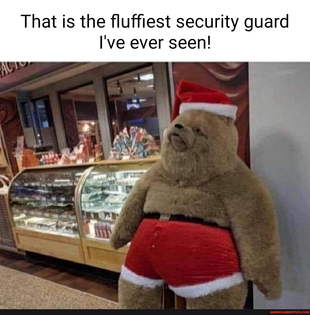 That is the fluffiest security guard
I've ever seen!
II
