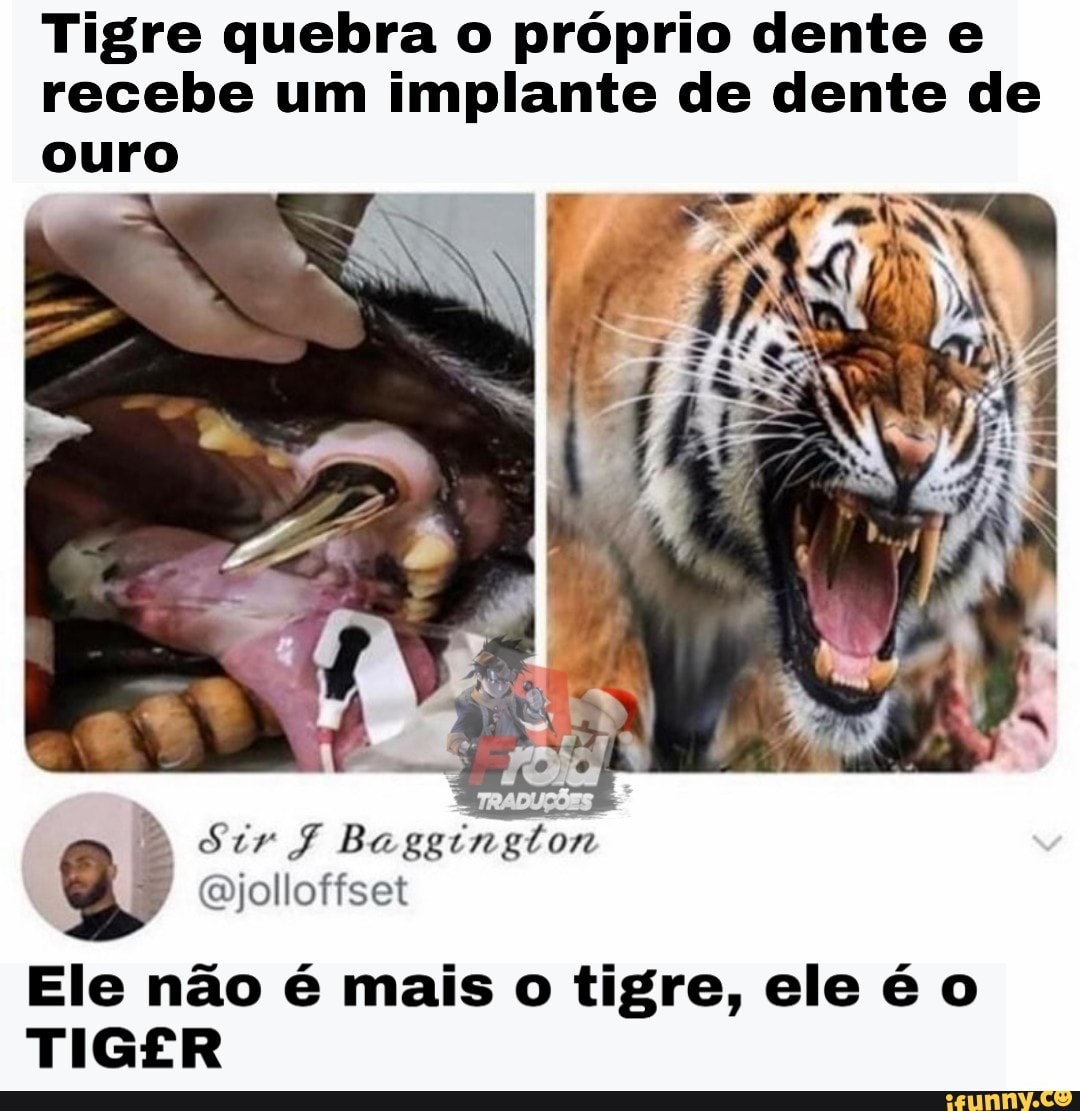 Tigre quebra o próprio dente e recebe um implante de dente de
ouro
TRADUÇÕES
Moi:
Ele não é mais o tigre, ele é o
TIGER