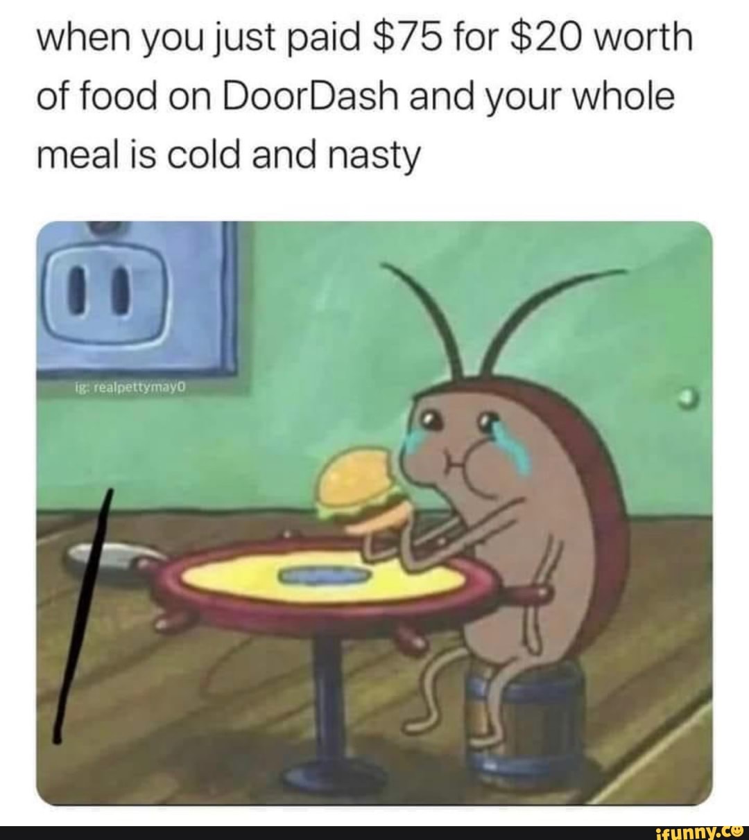 when you just paid $75 for $20 worth of food on DoorDash and your whole meal is cold and nasty