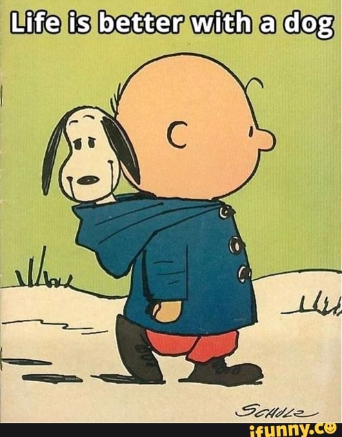 Life is better with a dog