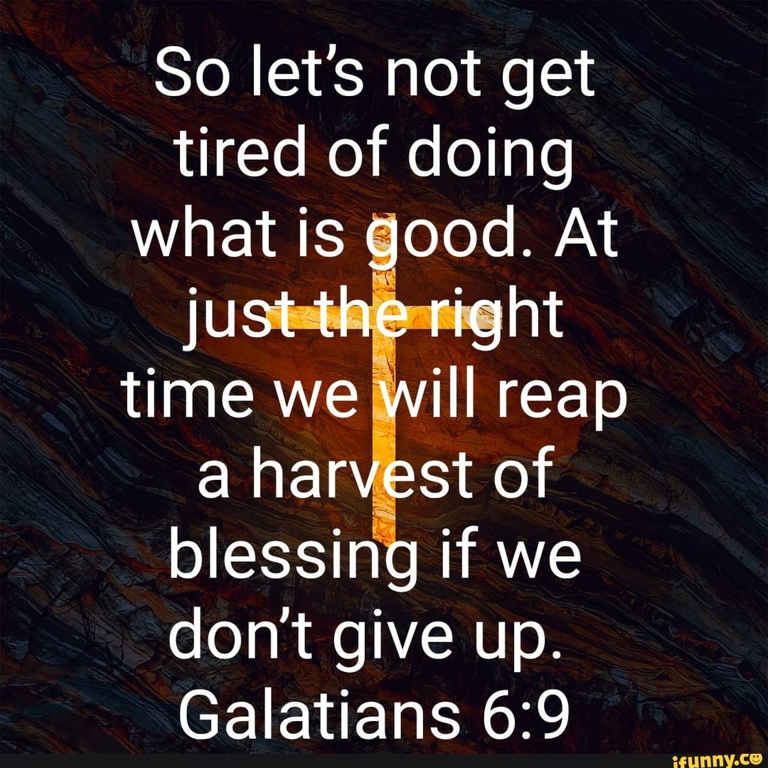 So let's not get tired of doing what is good. At just the right time we will reap a harvest of blessing if we don't give up.
Galatians