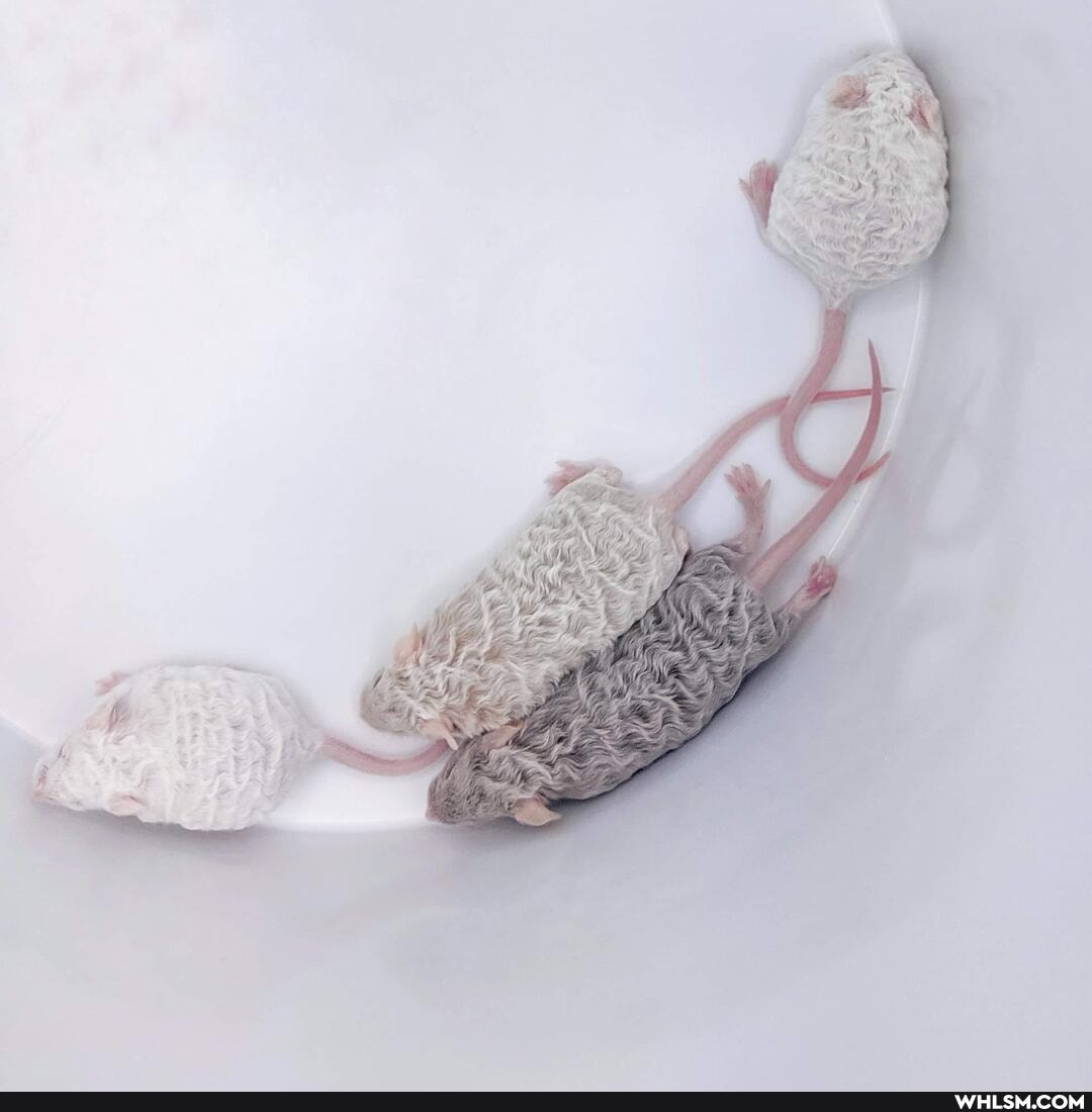 mildly_interesting, beautiful, cool