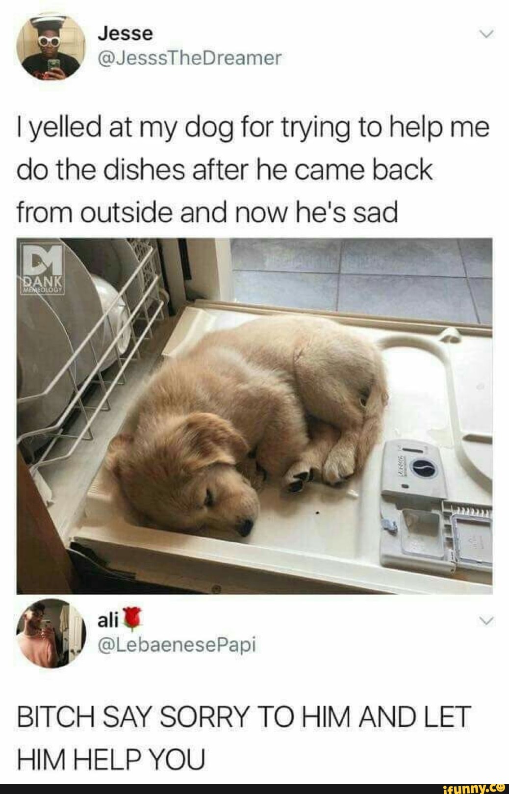 I yelled at my dog for trying to help me do the dishes after he came