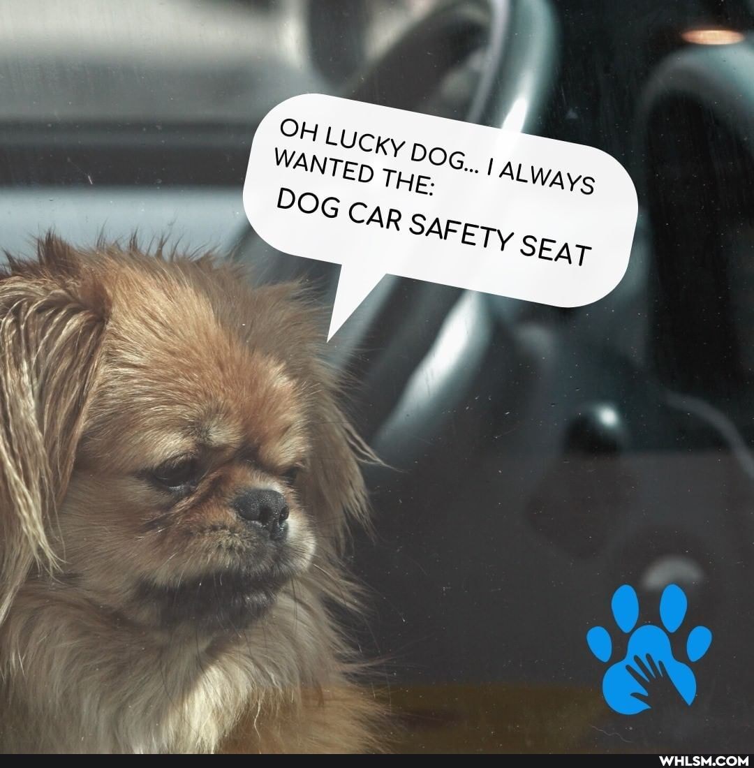 ALWAYs
WANT THIE:
OG CAR SAFETy SEAT