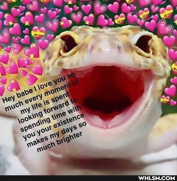 wholesome, meme_dump, wholesome_memes, love