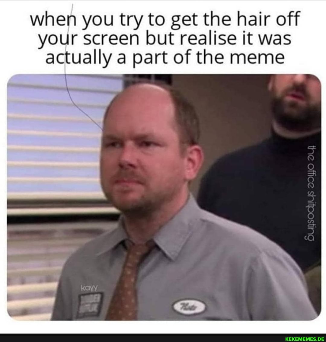 when you try to getthe hair off
your screen but realise it was
actually a part of the meme