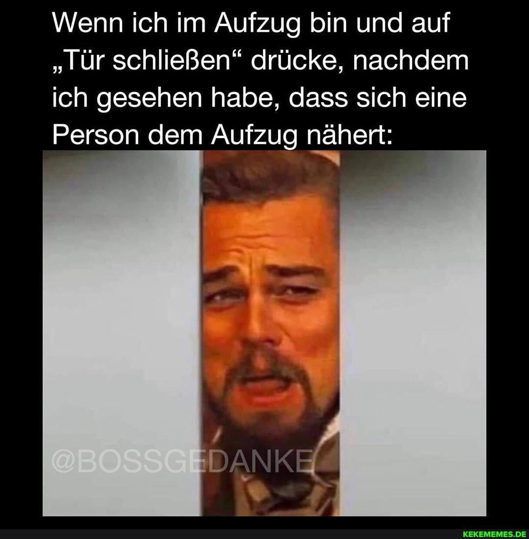 Wenn ich im Aufzug bin und auf
"Tür schließen" drücke, nachdem ich gesehen habe, dass sich eine
Person dem Aufzug nähert:
KE