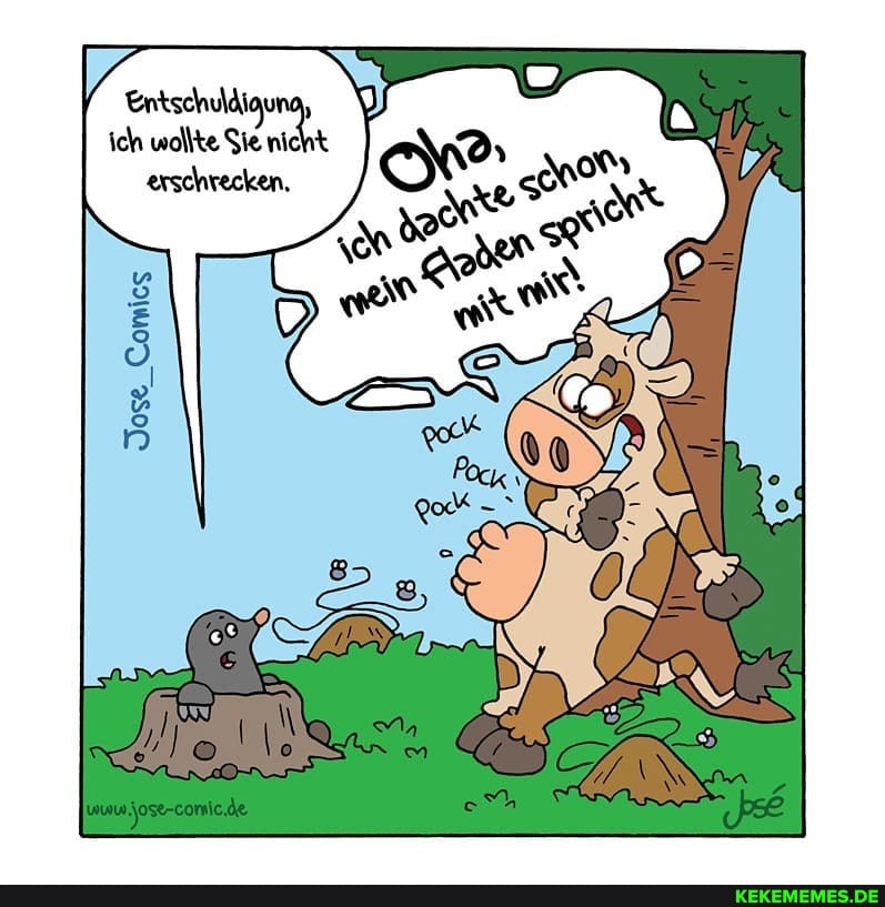 Entschuldigung, ich wollte Sie nicht