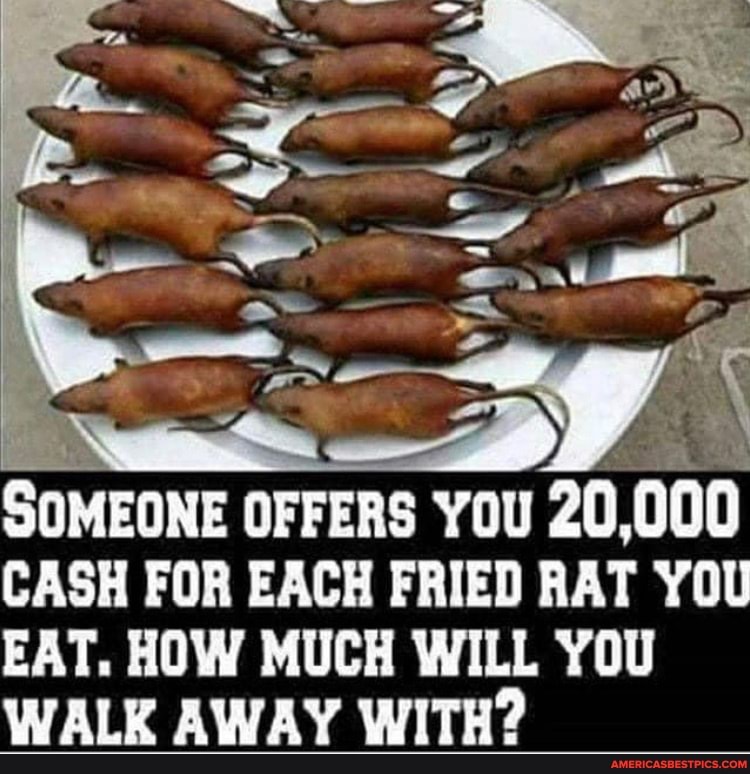 RR.
SOMEONE OFFERS YOU 20,000
CASH FOR EACH FRIED RAT YOU
EAT. HOW MUCH WILL YOU WALK AWAY WITH?