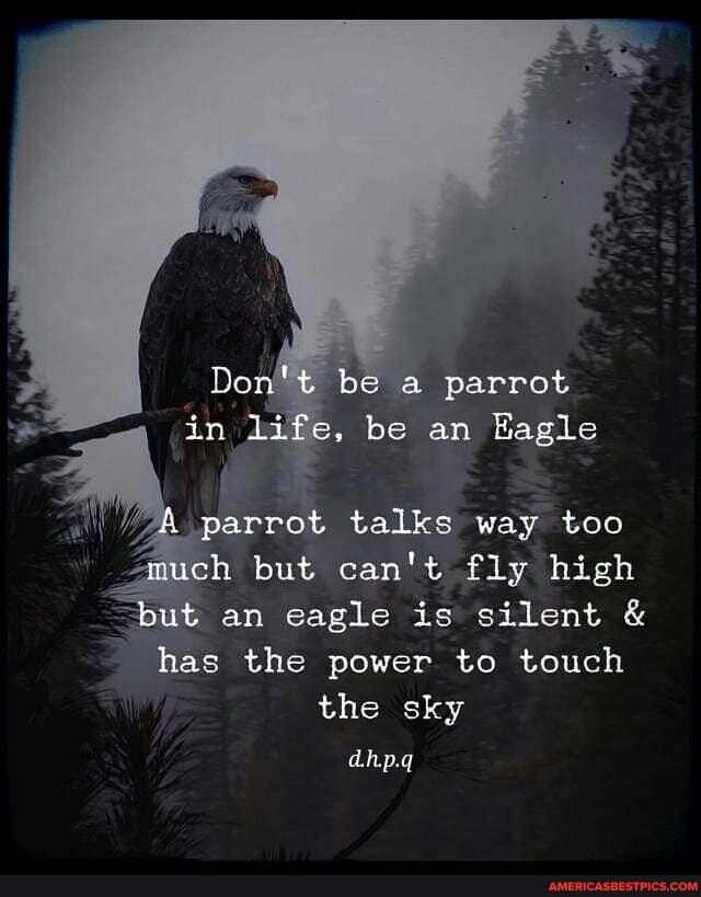 be a parrot
in, Wife, be an Eagle parrot talks way too ch but can't fly high put an eagle is silent & has the power to touch the sky
