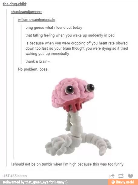 i ronda
'omg guess what i found out today
that falling feeling when you wake up suddenly in bed
is because when you were dropping off you heart rate slowed
down too fast so your brain thought you were dying so it tried
'waking you up immediatly
thank u brain~
No problem, boss.
high funny