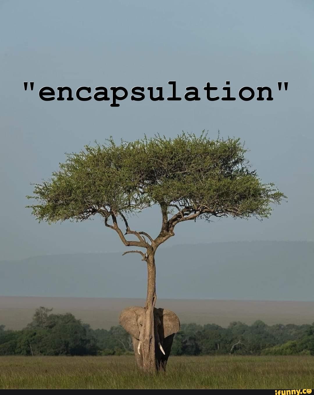 Encapsulation memes. Best Collection of funny Encapsulation pictures on ...