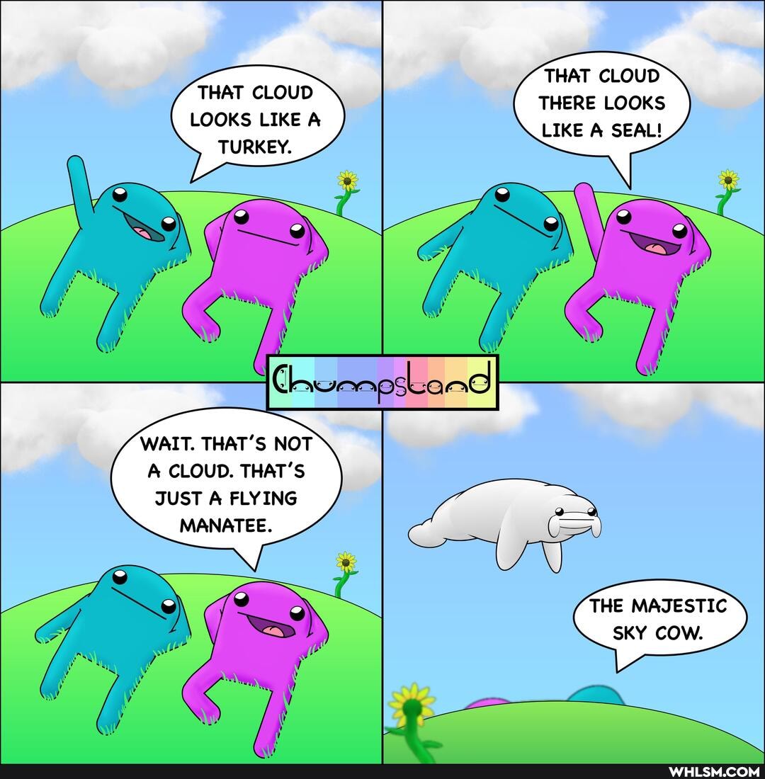 THAT CLOUD THERE LOOKS LIKE A SEAL!
THAT CLOUD LOOKS LIKE A TURKEY.
WAIT. THAT'S NOT CLOUD. THAT'S JUST A FLYING MANATEE.