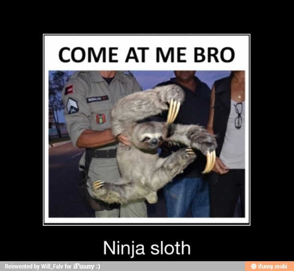 co ME AT ME BRO
Ninja sloth