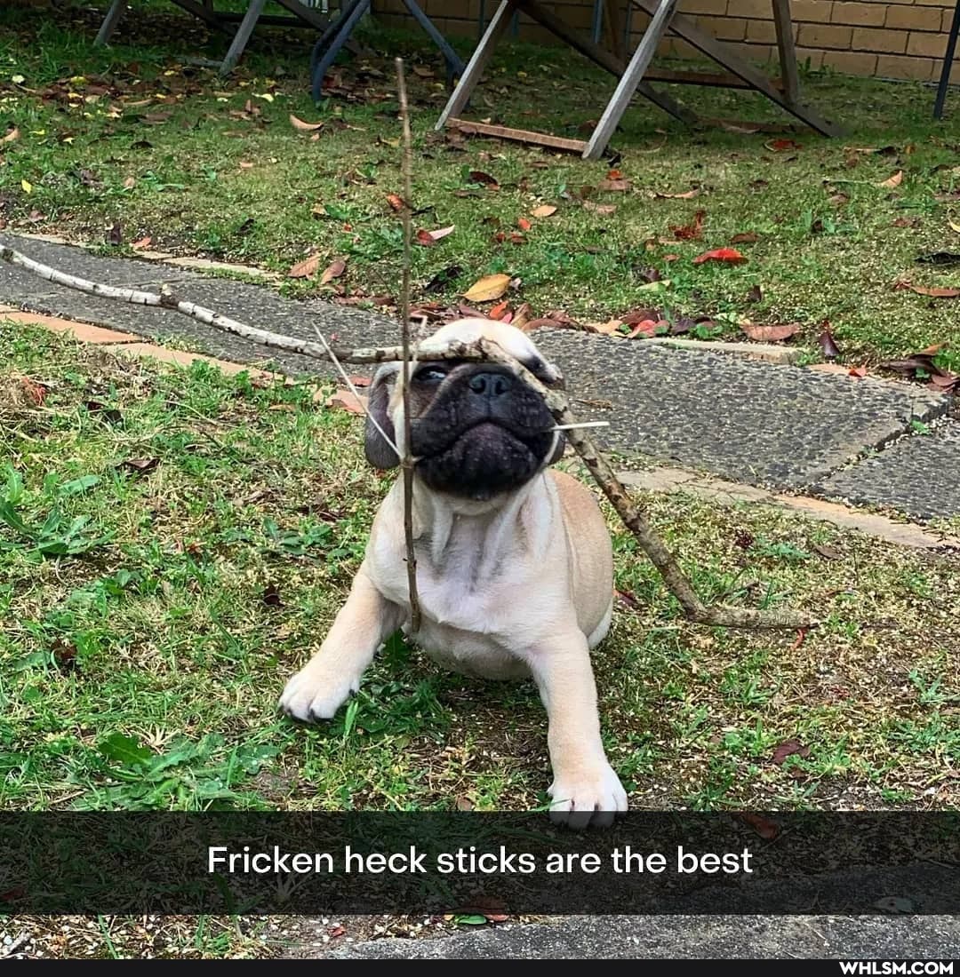 Fricken heck sticks are the best