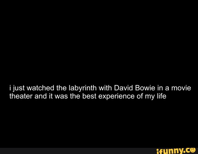 ijust watched the labyrinth with David Bowie in a movie
theater and it was the best experience of my life