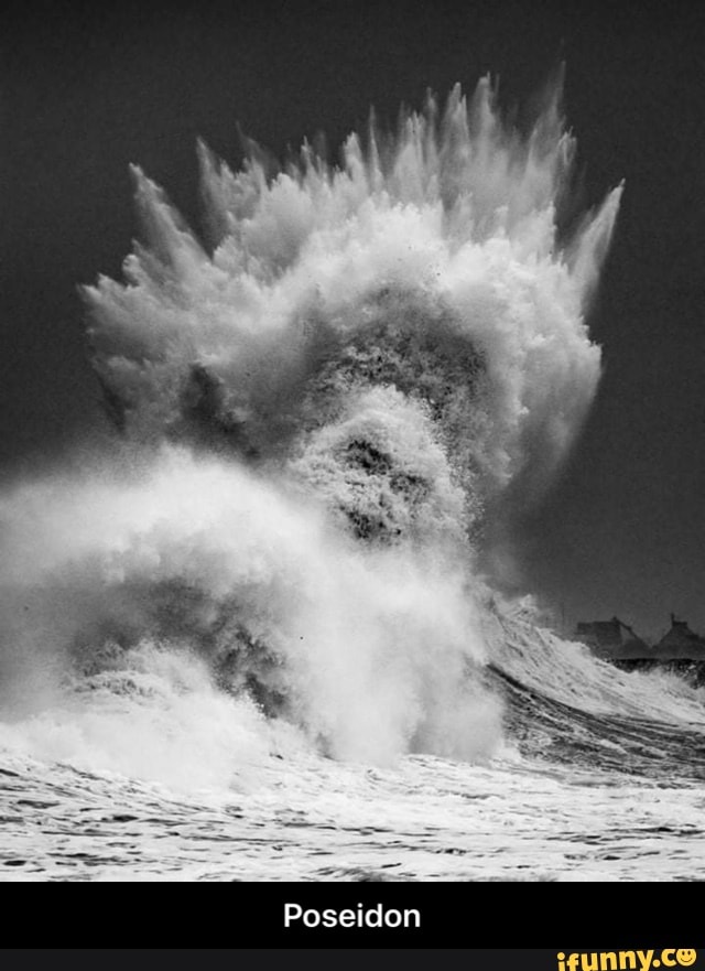 amazing, wtf, lol, wow, funny, feature, collective, sea, oceanman