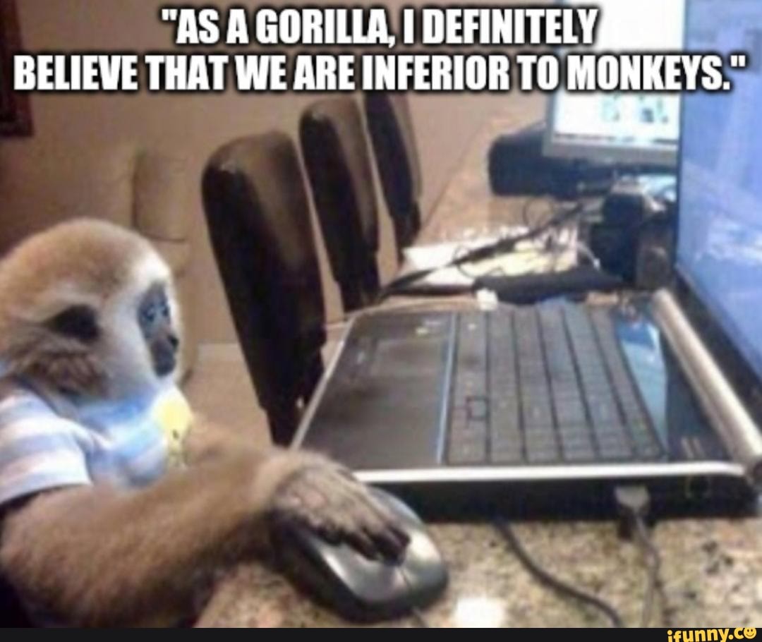 "AS A GORILLA, DEFINITELY BELIEVE THAT WE ARE INFERIOR TO MONKEYS."