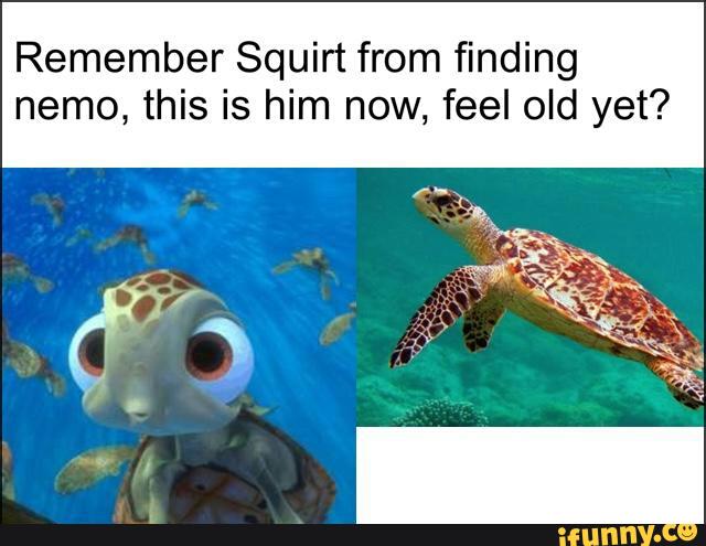 Remember Squirt from finding nemo, this is him now, feel old yet? 