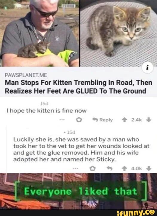 PAWSPLANET.ME
Man Stops For Kitten Trembling In Road, Then
Realizes Her Feet Are GLUED To The Ground
Luckily she is, she was saved by a man who
took her to the vet to get her wounds looked at
and get the glue removed. Him and his wife
adopted her and named her Sticky.