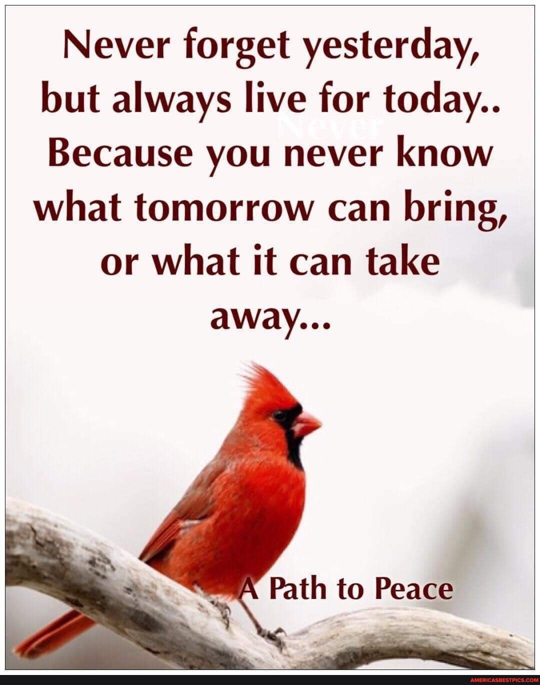 You forget yesterday. You forget yesterday. You forget yesterday. Money from nothing. Yesterday quotes.
