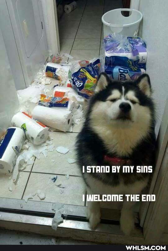 STANO BY SINS
VIAFELCOME THE END