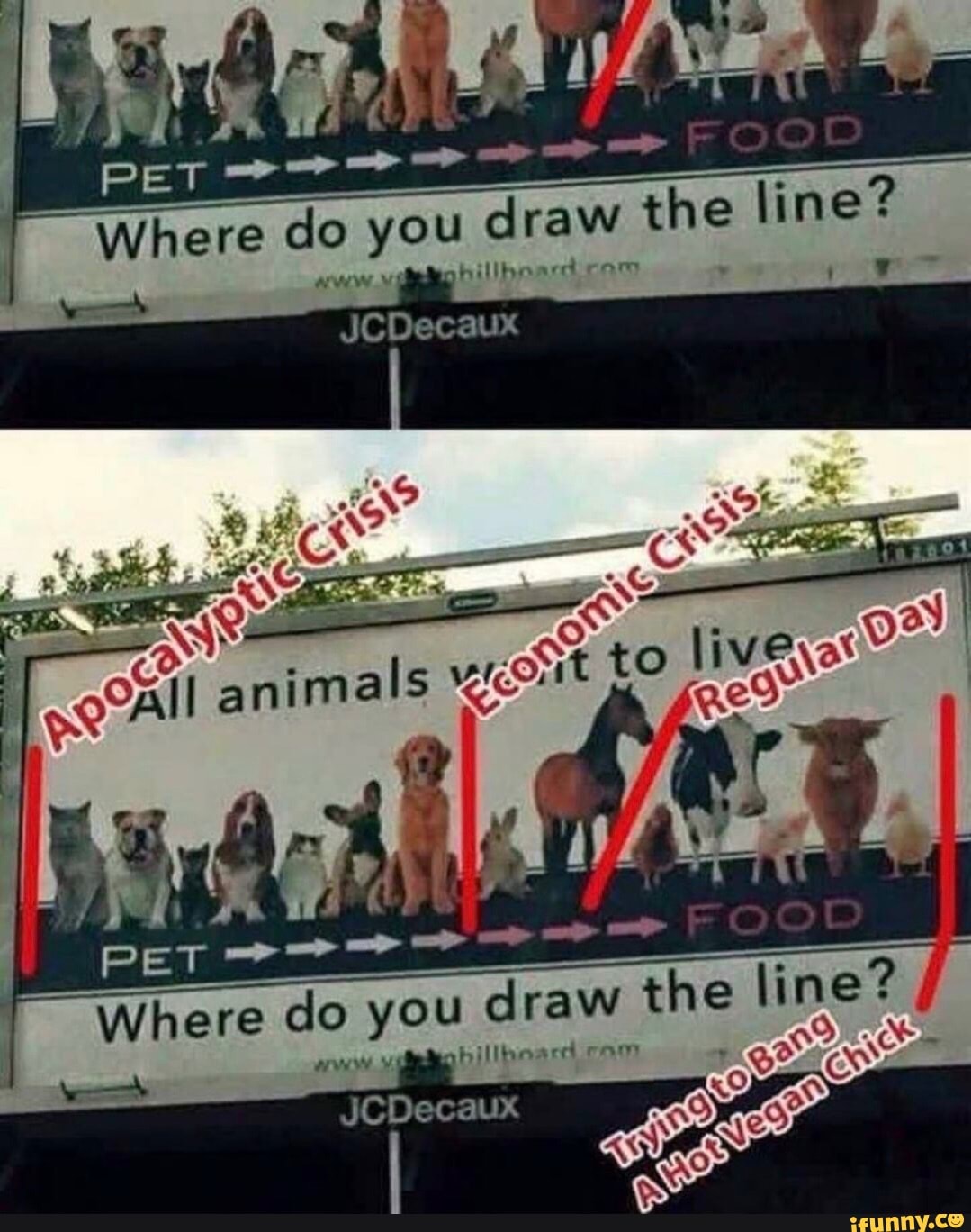 where-do-you-draw-the-line