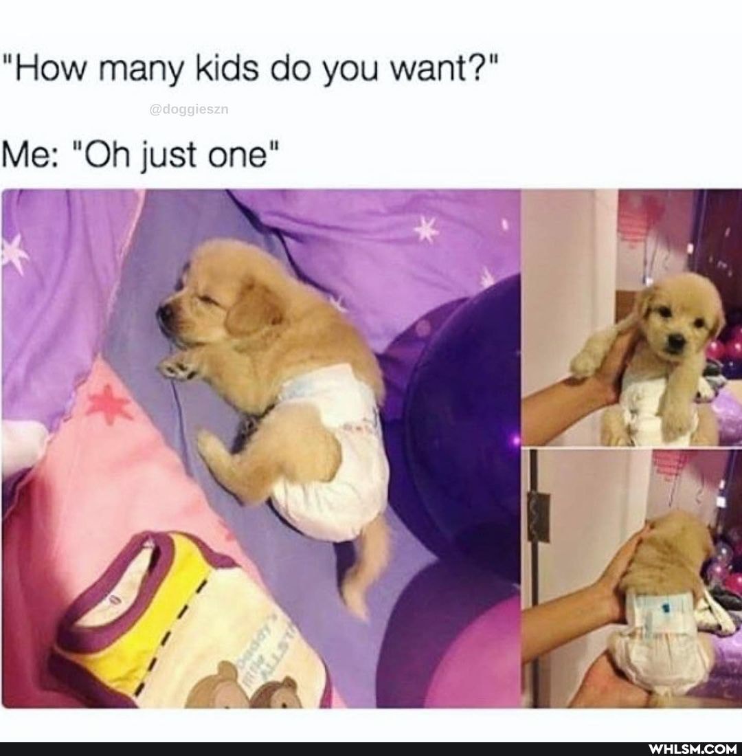 "How many kids do you want?"
I AS
Me: "Oh just one"