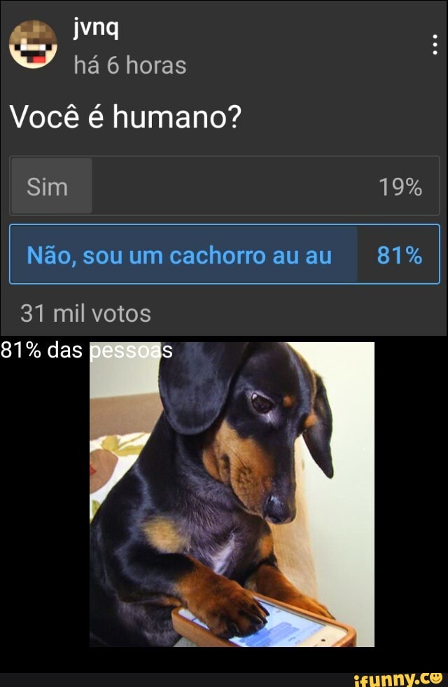 jyng há 6 horas
Você é humano?
Sim 19%
I Não, sou um cachorro au au 81%
31 mil votos
81% das pese