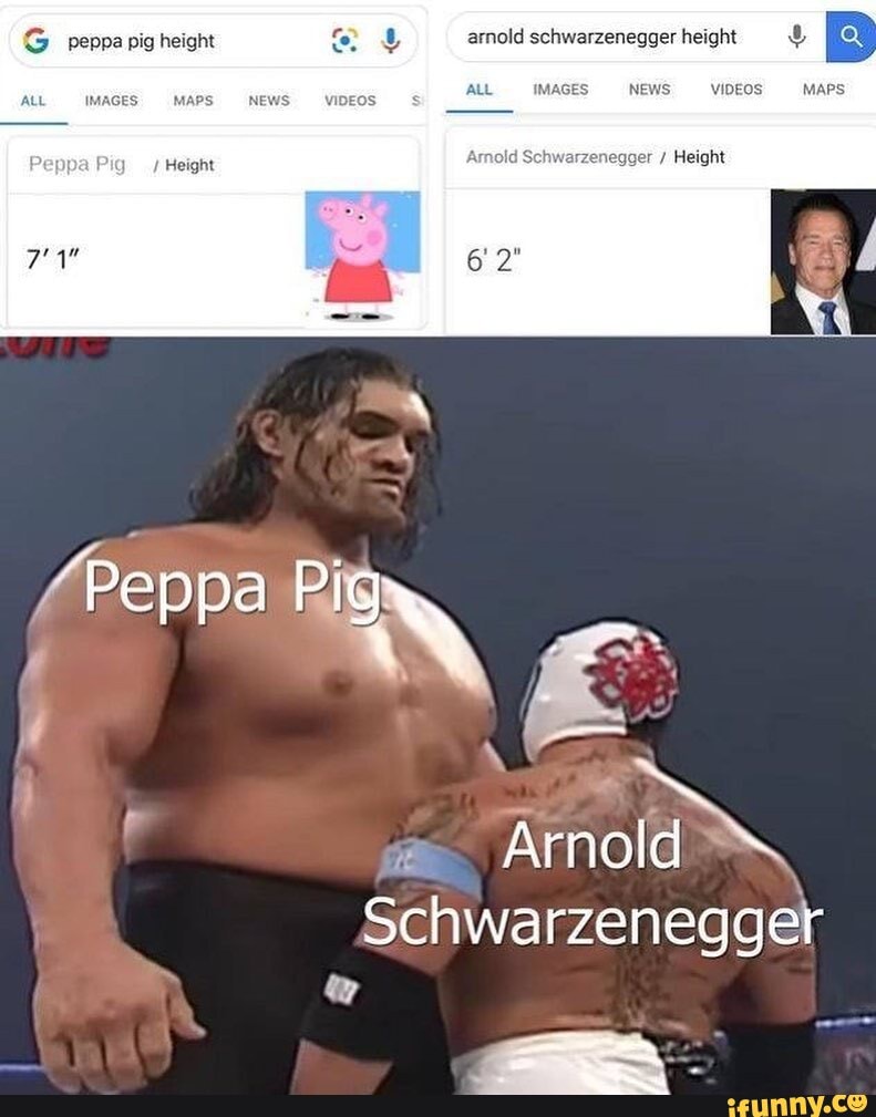 G Peppa Pig Height Arnold Schwarzenegger Height Pig All Images Er Height Pi Arnold Schwarzenegger