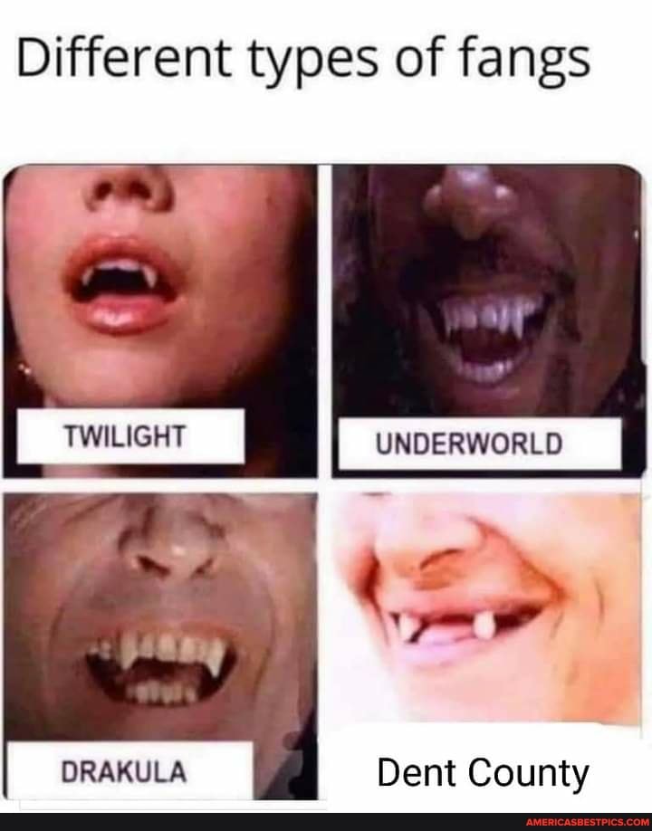 Different types of fangs
TWILIGHT
UNDERWORLD
DRAKULA Dent County