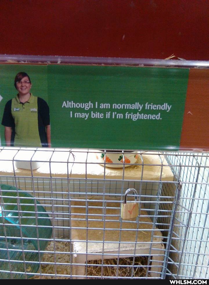Although I am normally friendly may bite if I'm frightened.