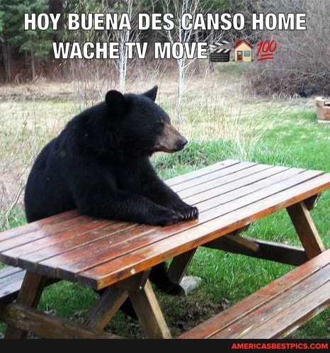 HOY BUENA DES CANSO HOME WACHE: MOVE