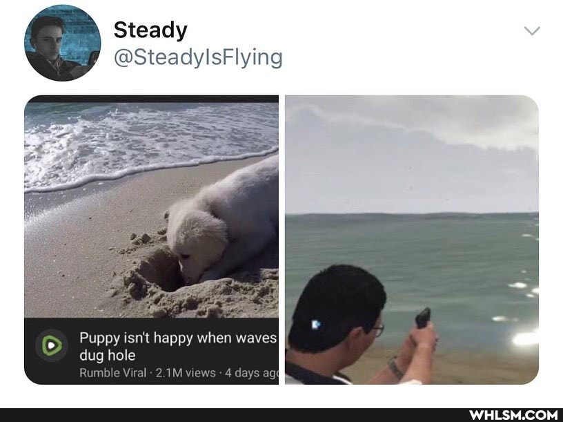 Steady
@SteadylsFlying
Puppy isn't happy when waves dug hole
2.1M vi