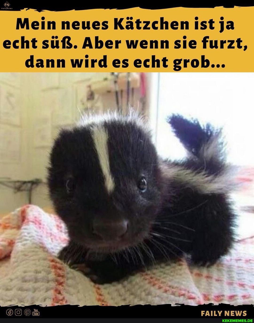 Mein neues Kätzchen ist ja echt suß. Aber wenn sie furzt, dann wird es echt grob...