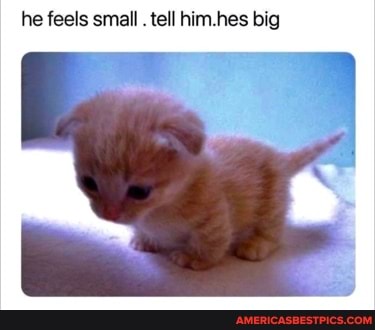 he feels small . tell him.hes big