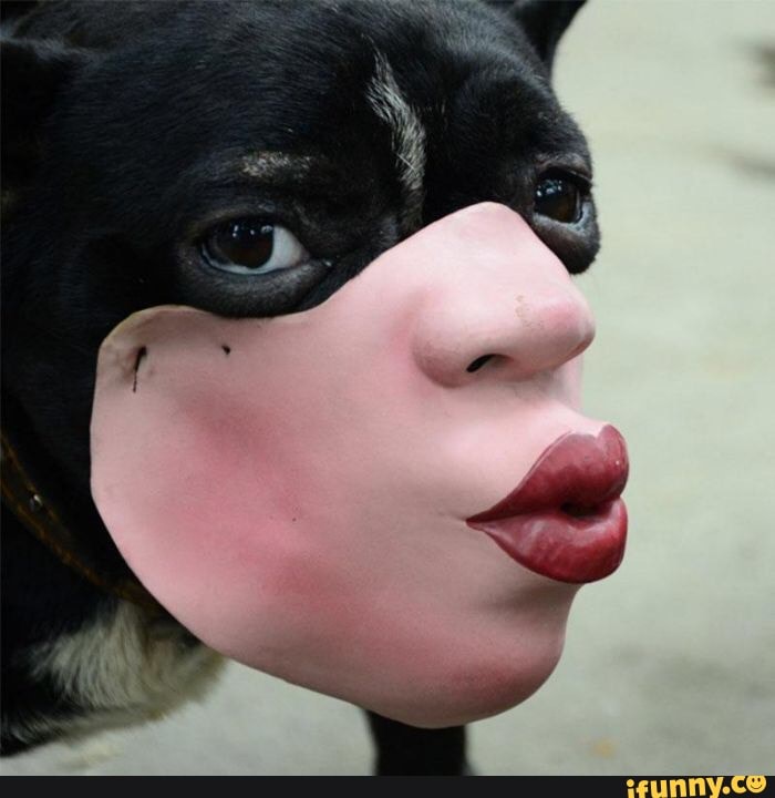 gross, cursed_images