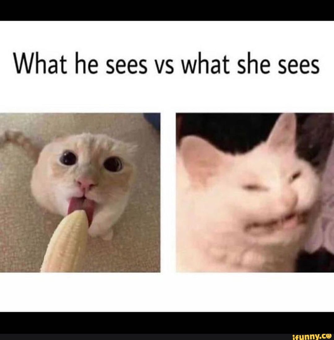 What He Sees Vs What She Sees - IFunny