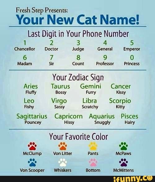 Fresh Step Presents:
Your New Cat Name!
Last Digit in Your Phone Number
Chancellor Doctor Judge General Emperor
Madam Sir Count Professor Princess
Your Zodiac Sign
Aries Taurus Gemini Cancer
Fluffy Bossy Furry Kissy
Leo Virgo Libra Scorpio
Fishy Sassy Scratchy Kitty
Sagittarius Capricorn Aquarius Pisces
Pouncey Hissy Shuggly Hairy
Your Favorite Color