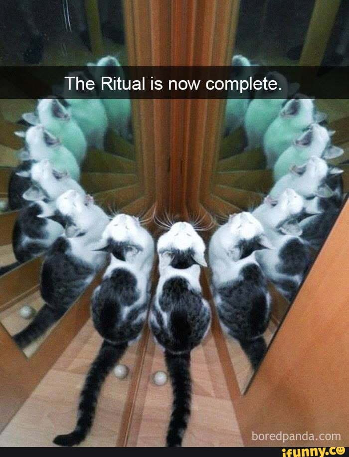 The Ritual is now complete.