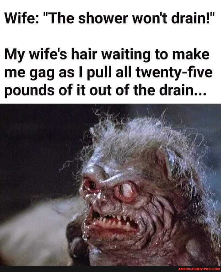 Wife: "The shower won't drain!"
My wife's hair waiting to make me gag as pull all twenty-five pounds of it out of the drain...