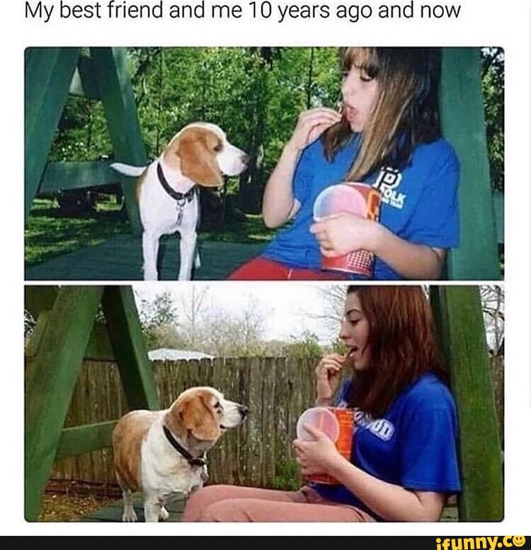 Bob is not panicking. ib Bob listens to scientists instead of social