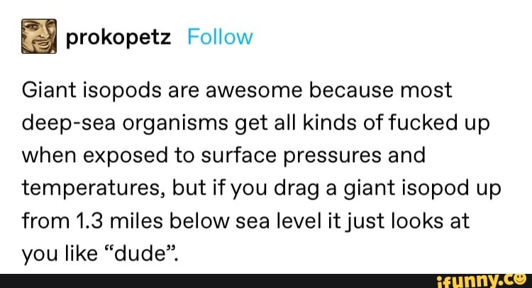 prokopetz Follow
Giant isopods are awesome because most
deep-sea organisms get all kinds of fucked up
when exposed to surface pressures and
temperatures, but if you drag a giant isopod up
from 1.3 miles below sea level it just looks at
you like "dude".