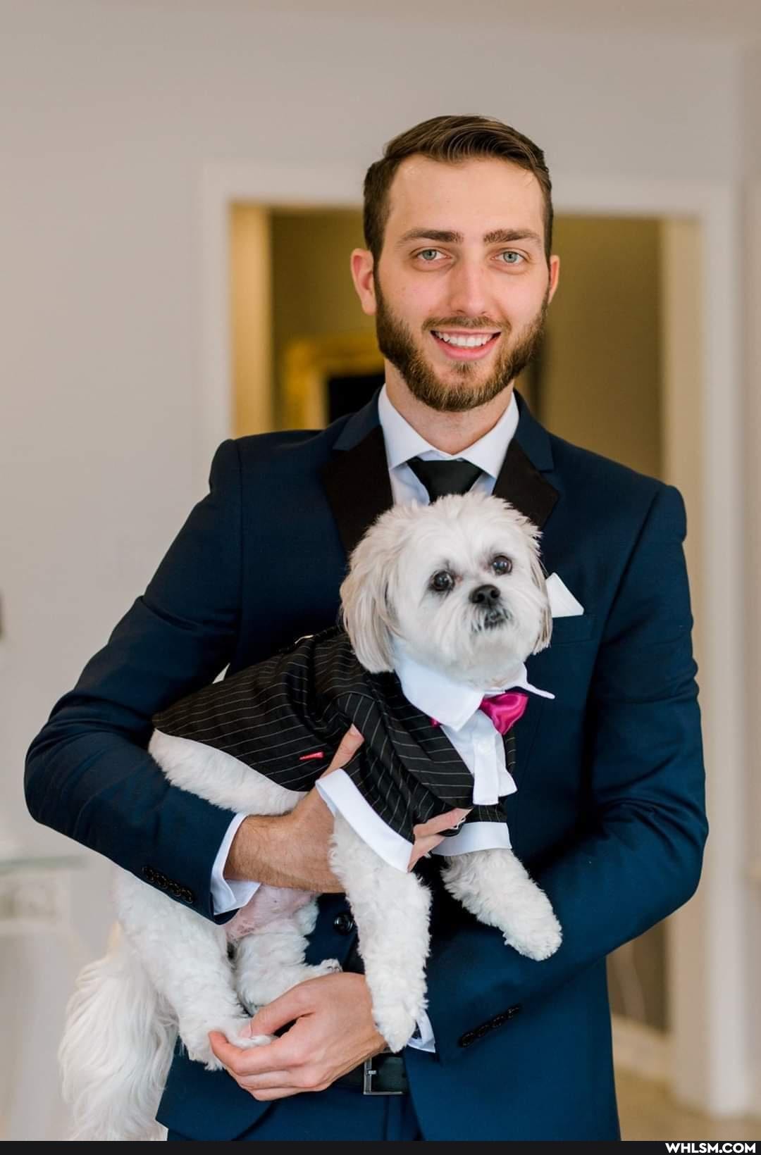 pets, suits