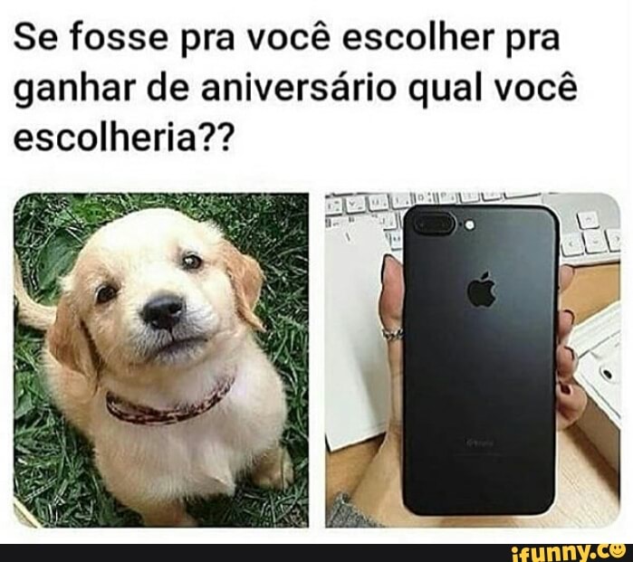 Se fosse pra você escolher pra
ganhar de aniversário qual você
escolheria??