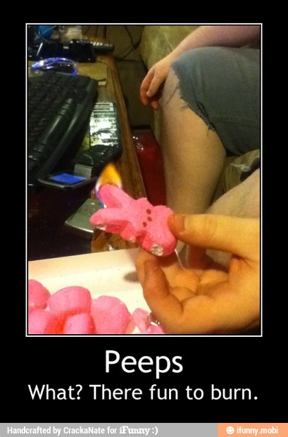Peeps
What? There fun to burn. - Peeps
What? There fun to burn.