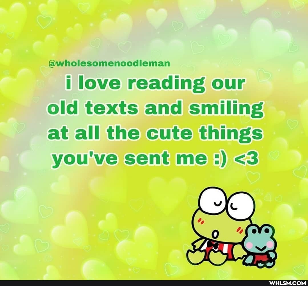 @wholesomenoodieman
i love reading our old texts and smiling at all the cute things you've sent me <3